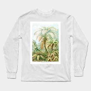 Primitive ferns - Botanical Illustration Long Sleeve T-Shirt